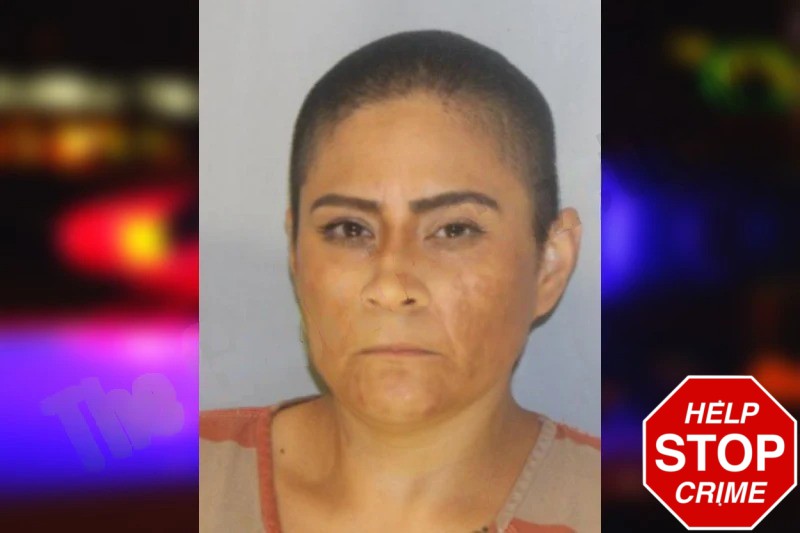 Gina Alvarez Mugshots
