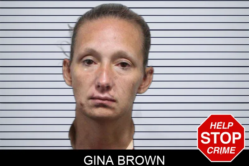 Gina Brown Mugshots