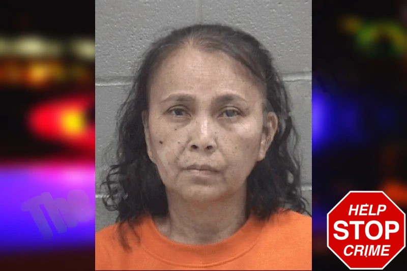 Gloria Iriarte Mugshots