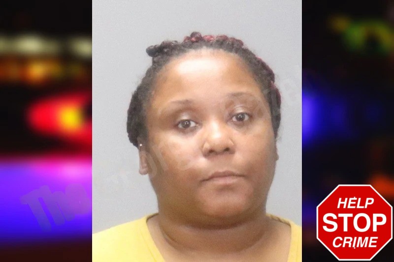 Gracie Johnson Mugshots