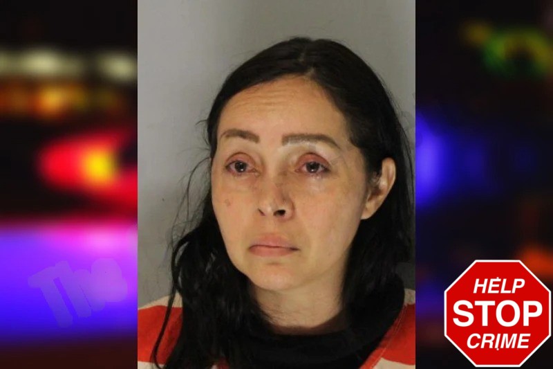 Grisbel Villarroel Herrera mugshot