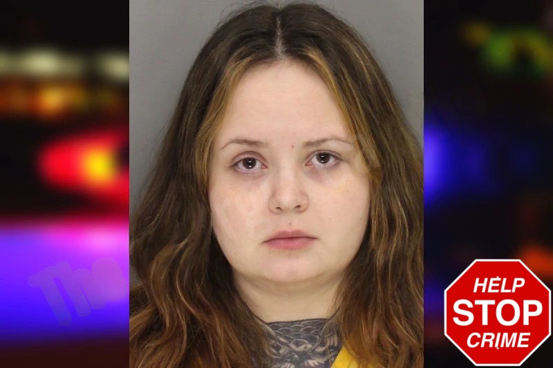 Haleigh Mull Mugshots