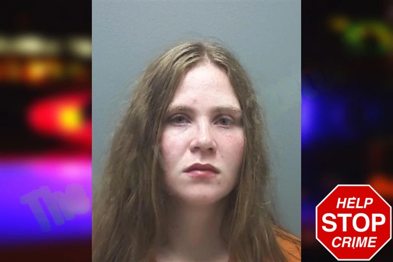 Haley Johnson Mugshots