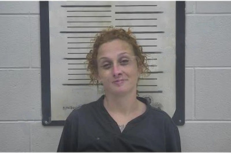 Haley McElhaney Mugshots