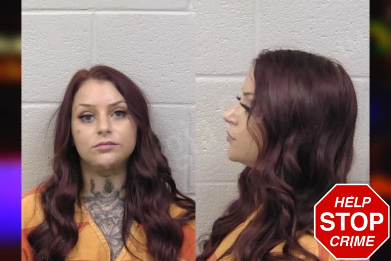 Haley Romines Mugshots