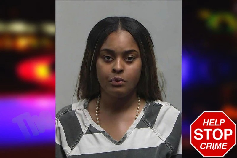 Halle King Mugshots
