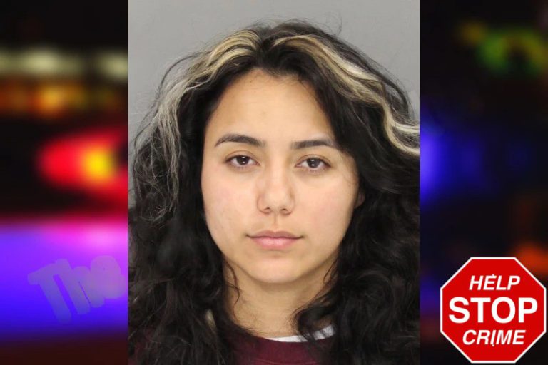Halley Romero mugshot – Gwinnett County , Georgia Halley Romero