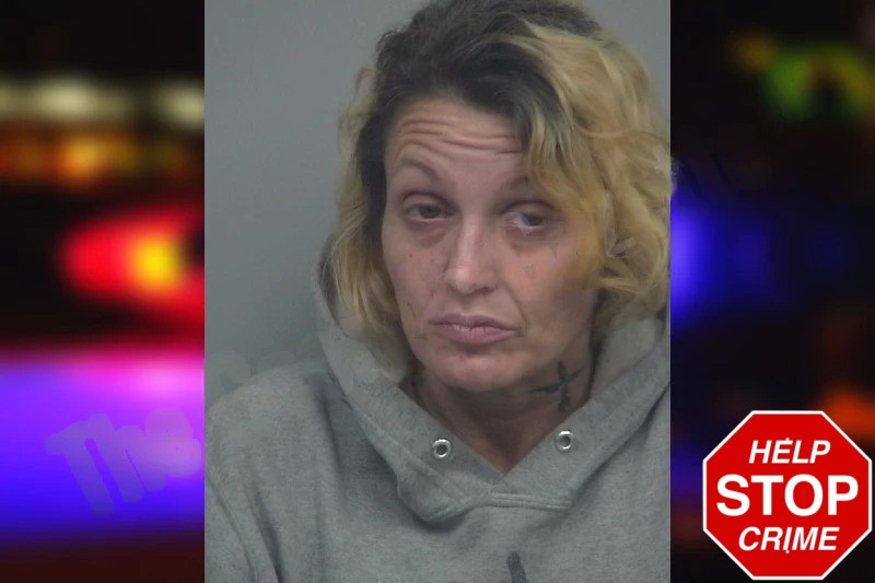 Halli Blower Mugshots