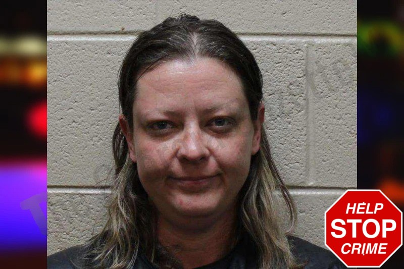 Hallie Brooks Mugshots