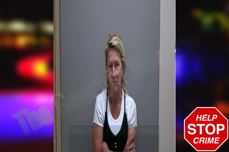 Hannah Hodges Mugshots