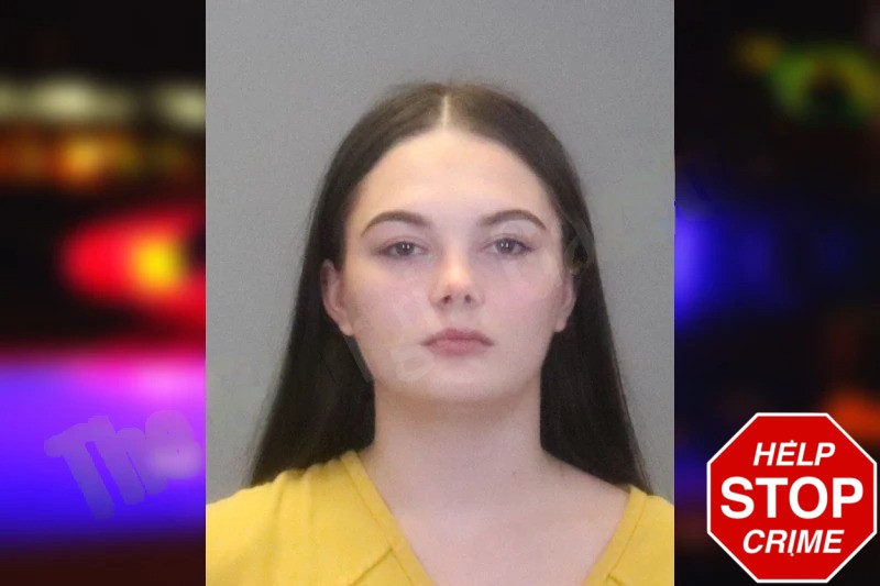 Hannah Little Mugshots