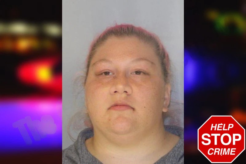 Hannah Singer Mugshots