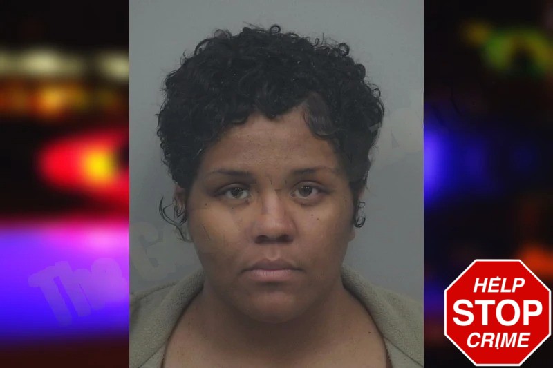 Hannah Williams mugshot