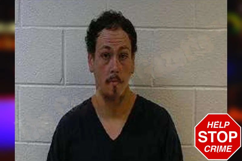 Hayden Cannon Mugshots