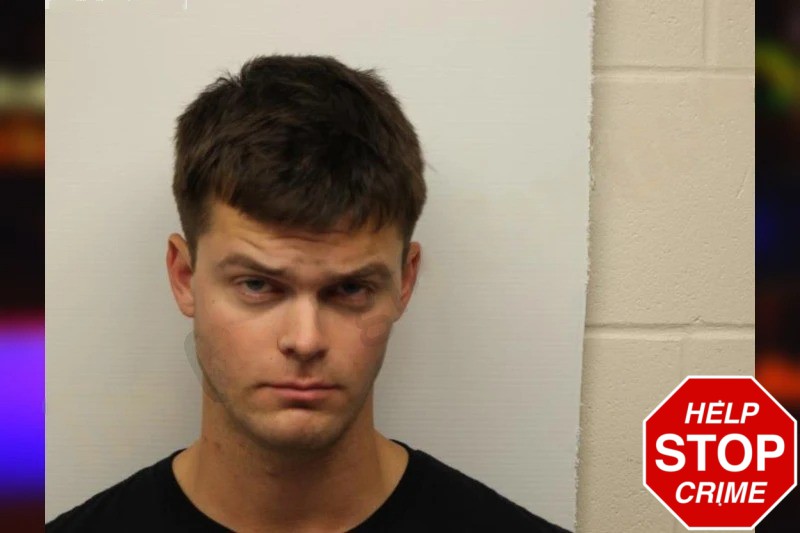 Hayden Merrill Mugshots