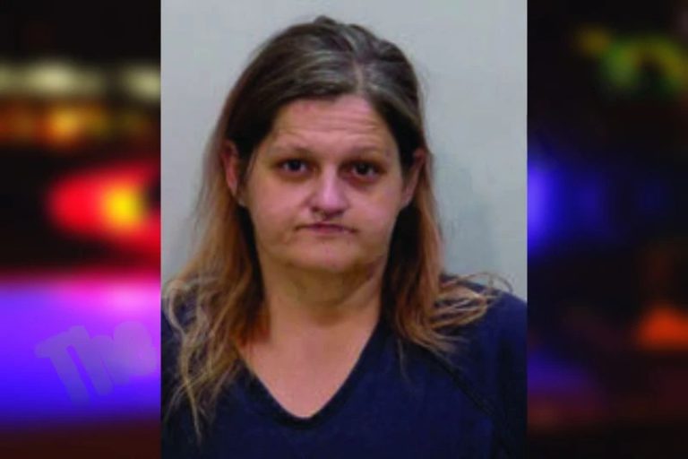 Heather Bagley mugshot – Bartow County , Georgia Heather Bagley