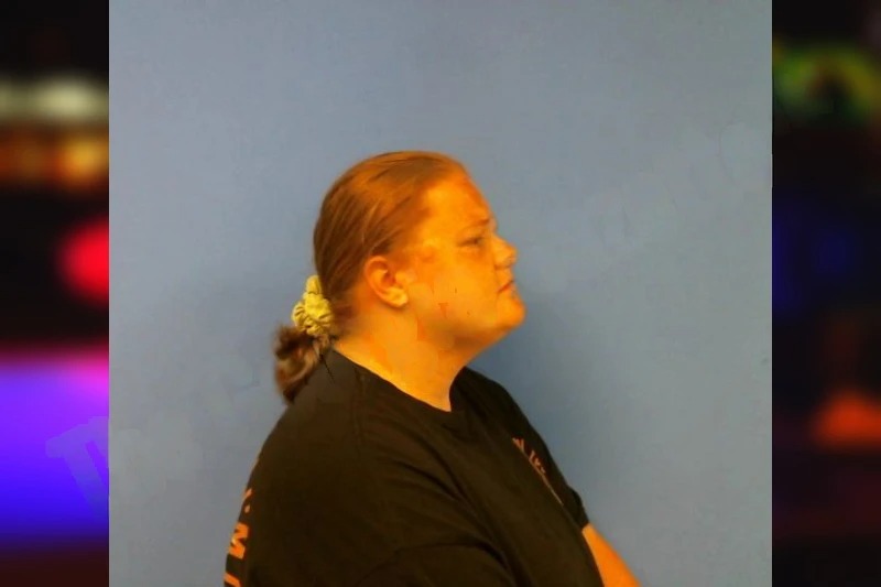 Heather Ballard Mugshots