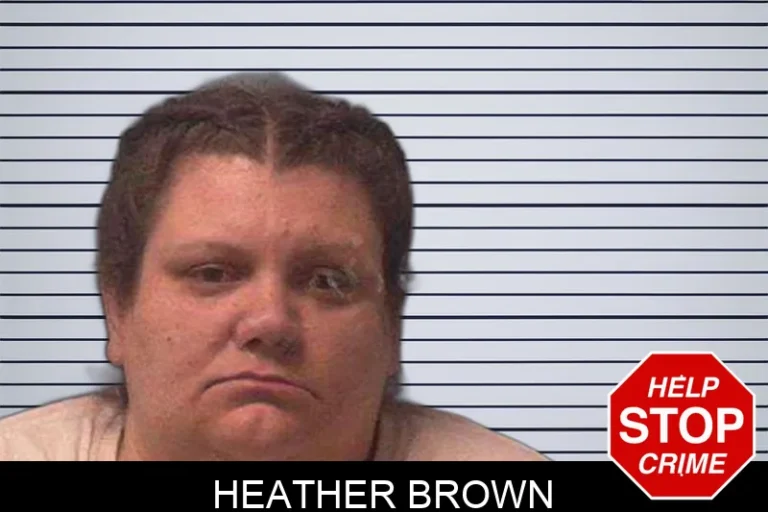 Heather Brown mugshot – Franklin County , Georgia Heather Brown