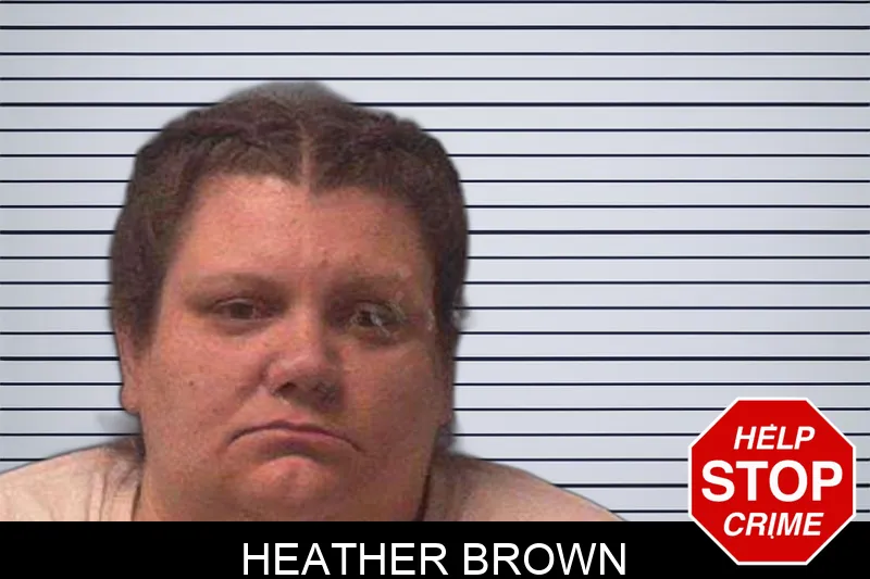 Heather Brown Mugshots