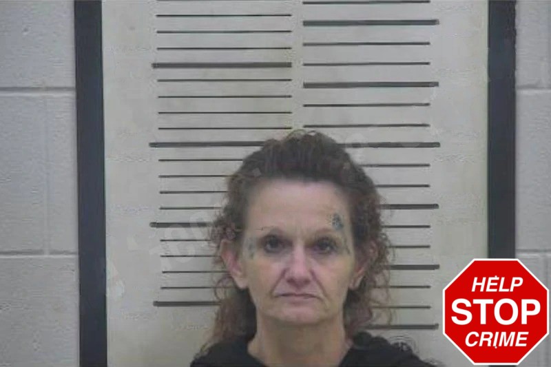 Heather Burkett Mugshots