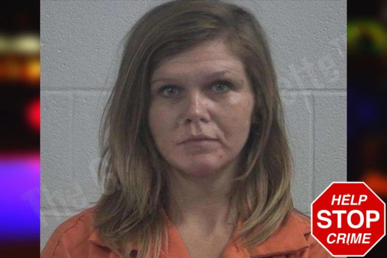 Heather Dempsey mugshot – McDuffie County , Georgia Heather Dempsey