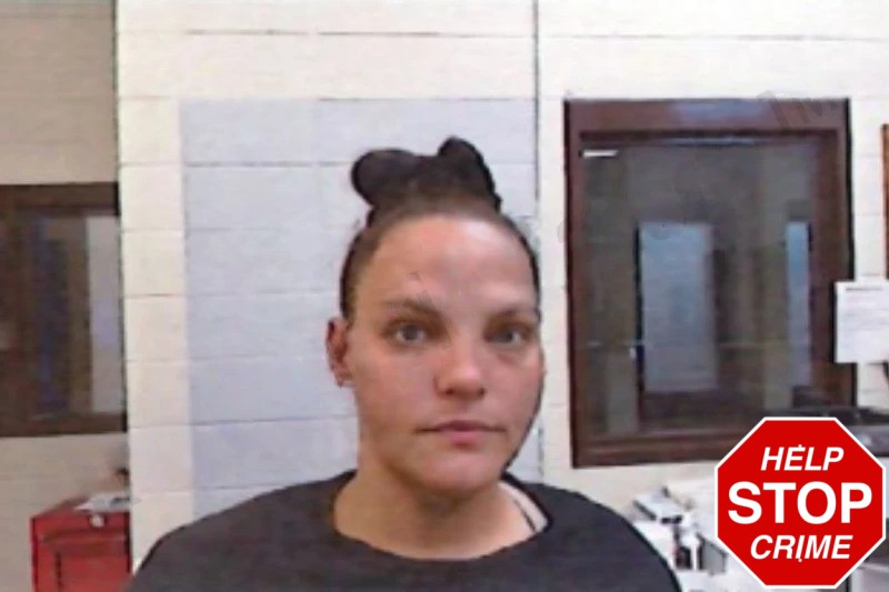 Heather Farmer Mugshots