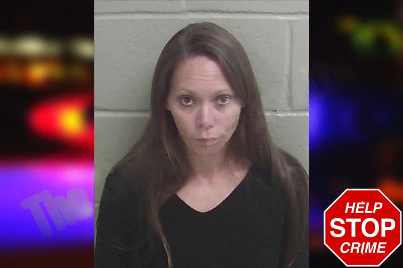 Heather McClelland Mugshots