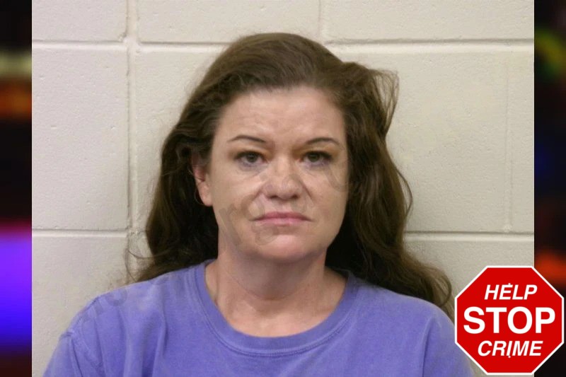 Heather Sisson Mugshots