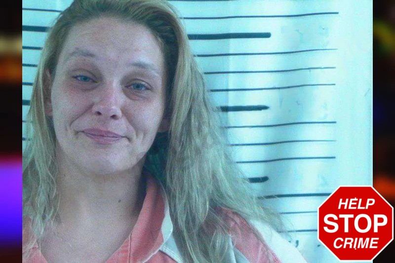 Heather Spiva Mugshots