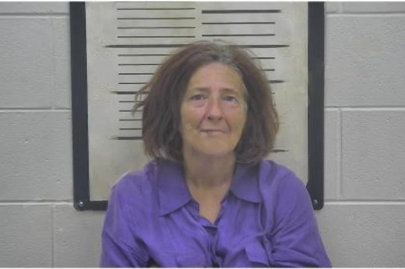 Heather Whitley Mugshots