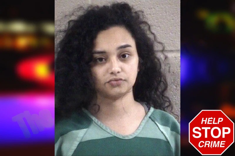 Hellen Herrea-Berrios Mugshots