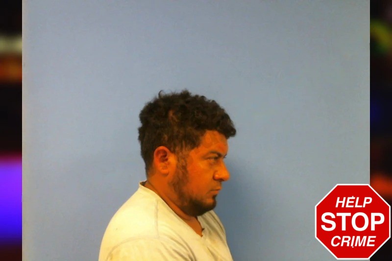 Herson Arriaza Mugshots