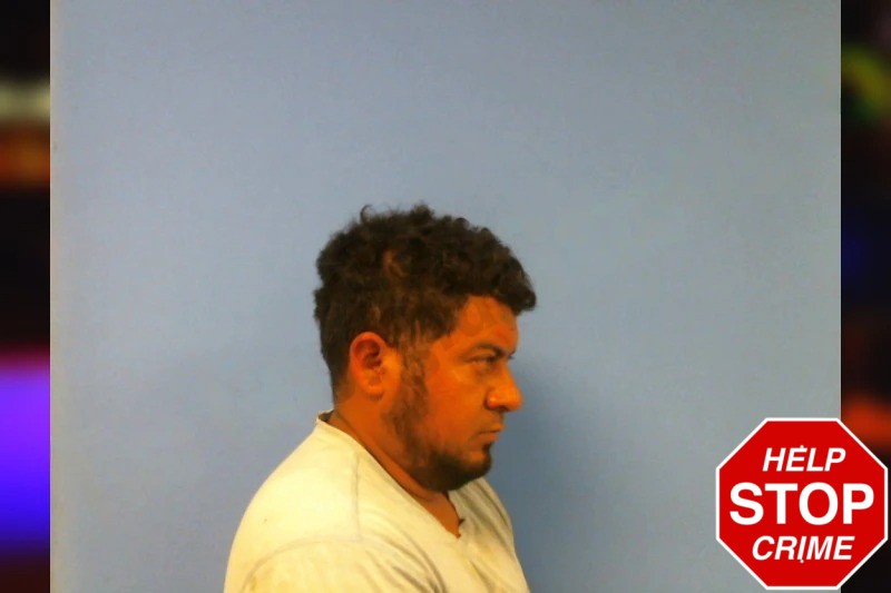 Herson Arriaza Mugshots