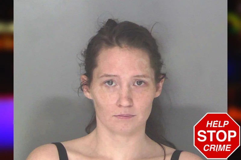 Hilary Paquette Mugshots