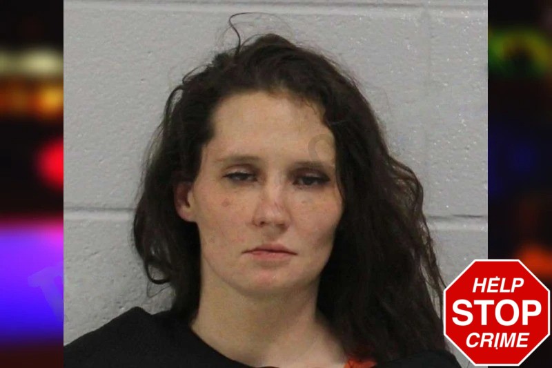 Hilary Paquette Mugshots