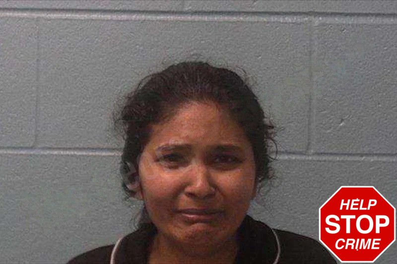 Hiralben Gosvami mugshot – Franklin County , Georgia Hiralben Gosvami mugshot