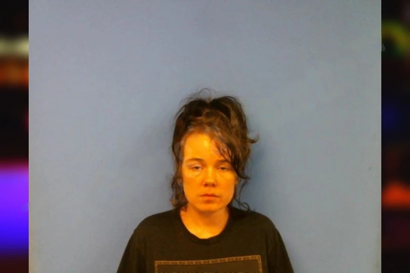 Hollie Seay Mugshots