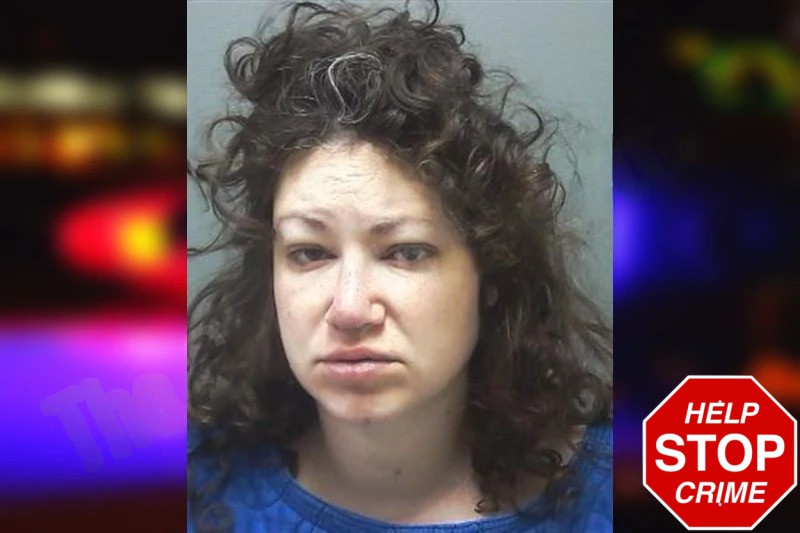 Hollis Winter Mugshots