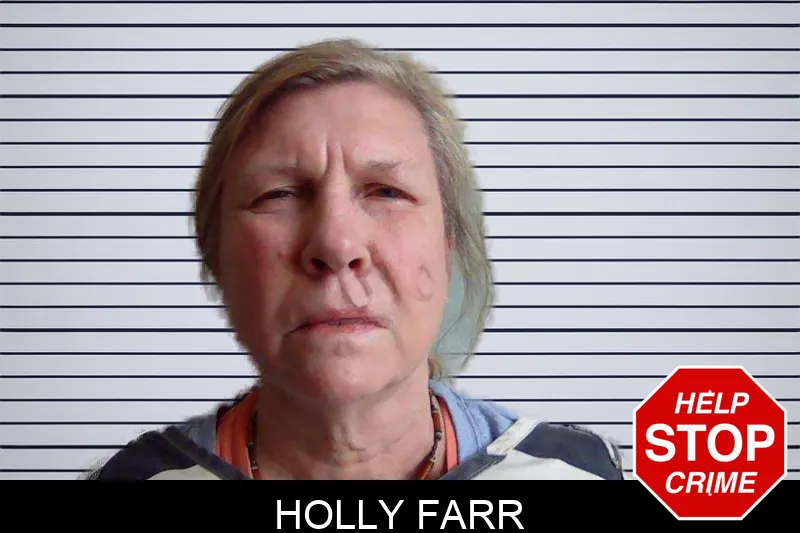 Holly Farr Mugshots