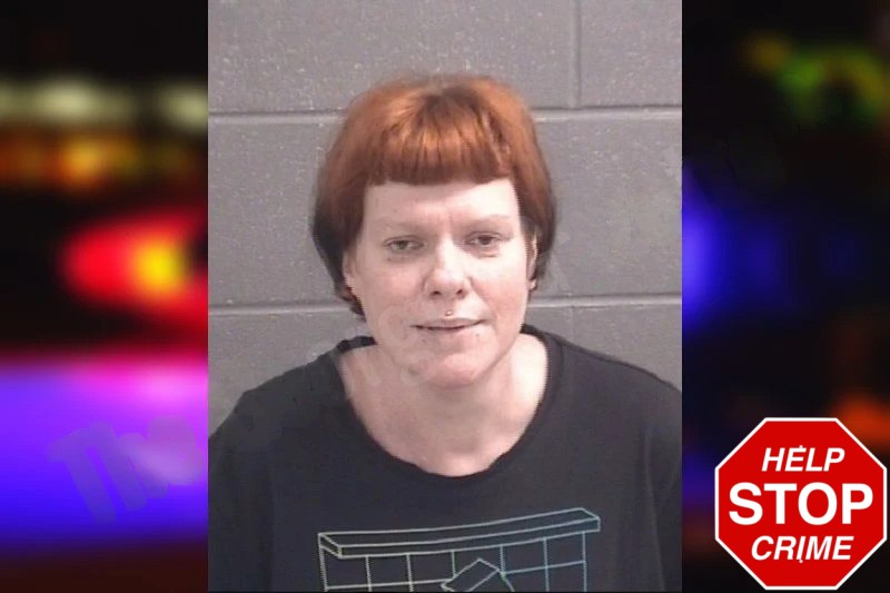 Holly Hardin Mugshots