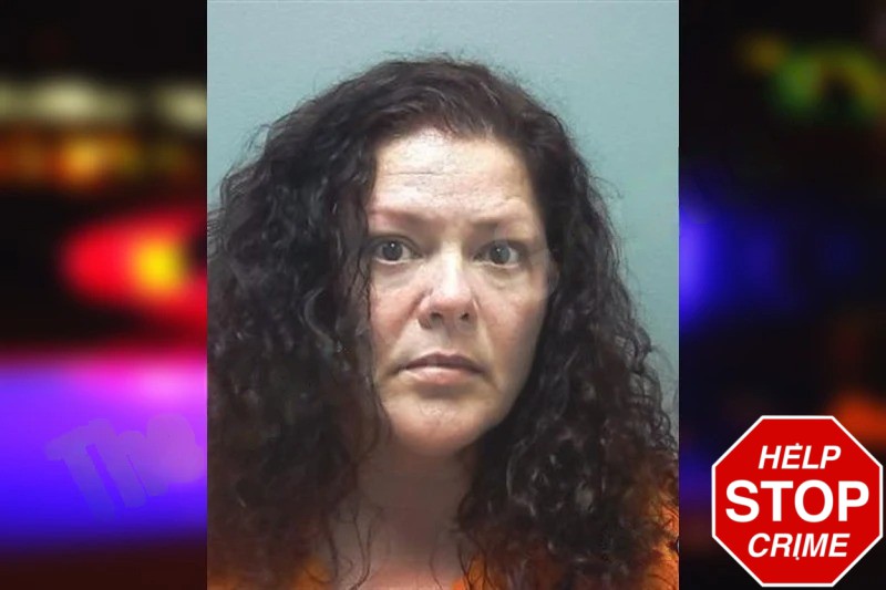 Holly Sanders Mugshots