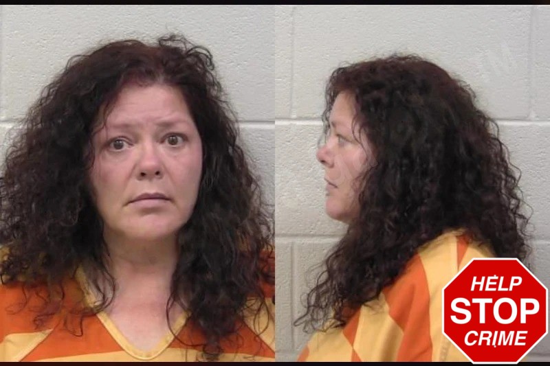 Holly Sanders Mugshots