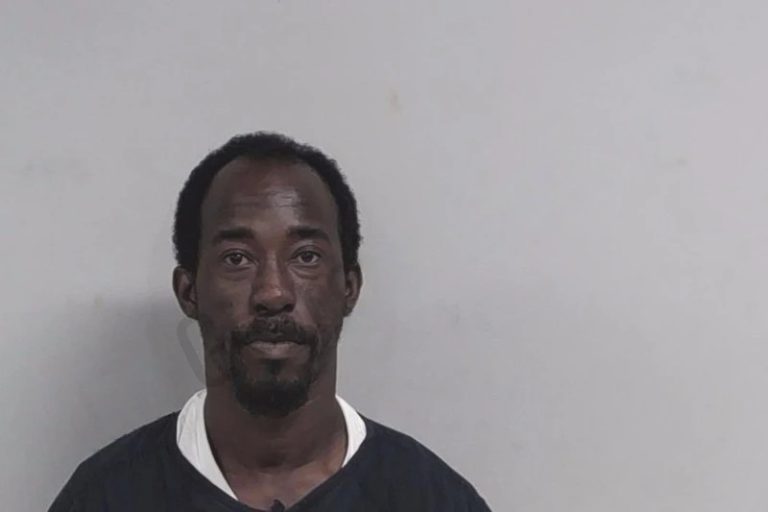 Howard Hires mugshot – Lowndes County , Georgia Howard Hires