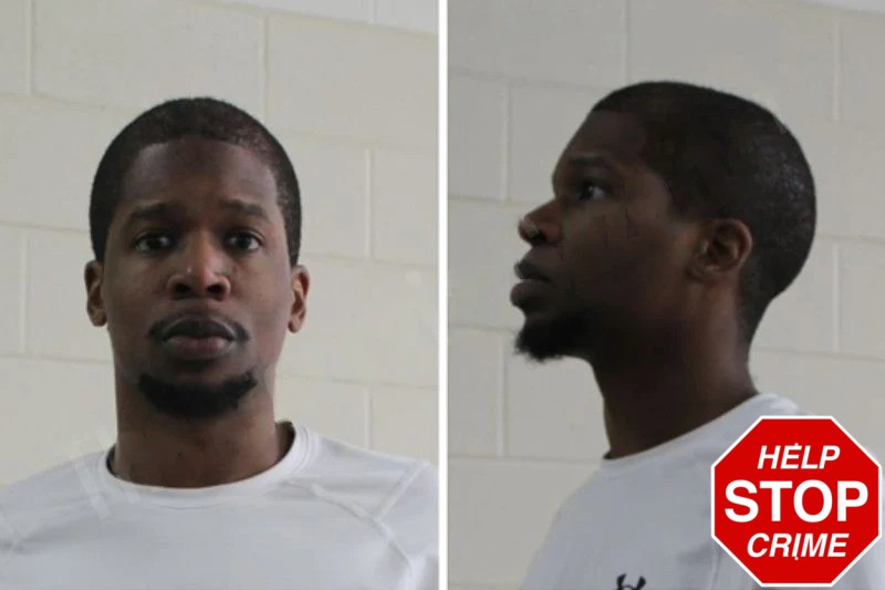 Hugh Saddler Mugshots