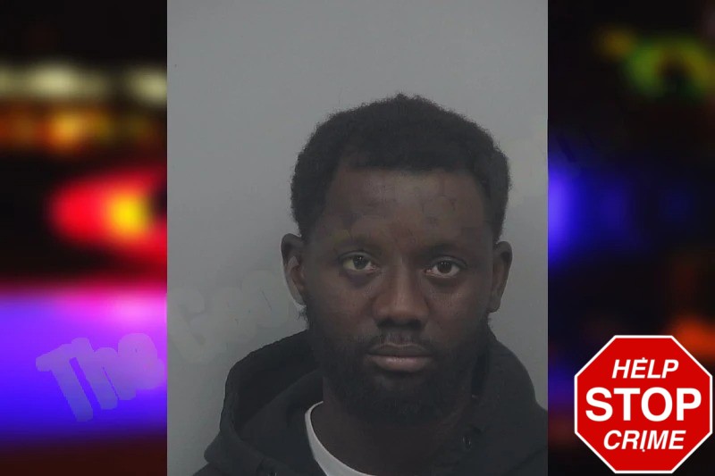 Idowu Temetan mugshot