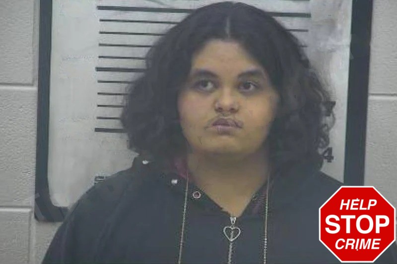 Ileena Garcia Mugshots