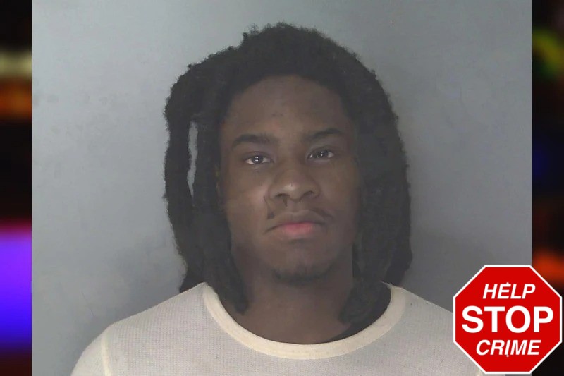 Immiel Hollie Mugshots