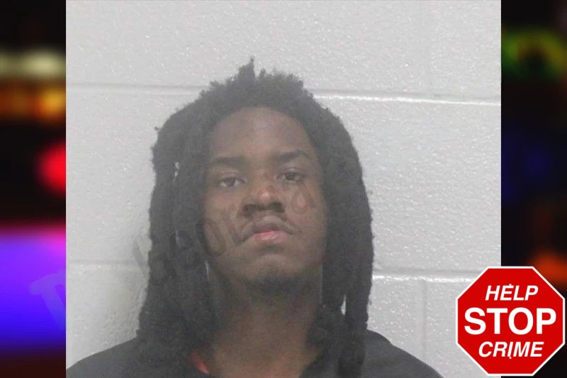 Immiel Hollie Mugshots