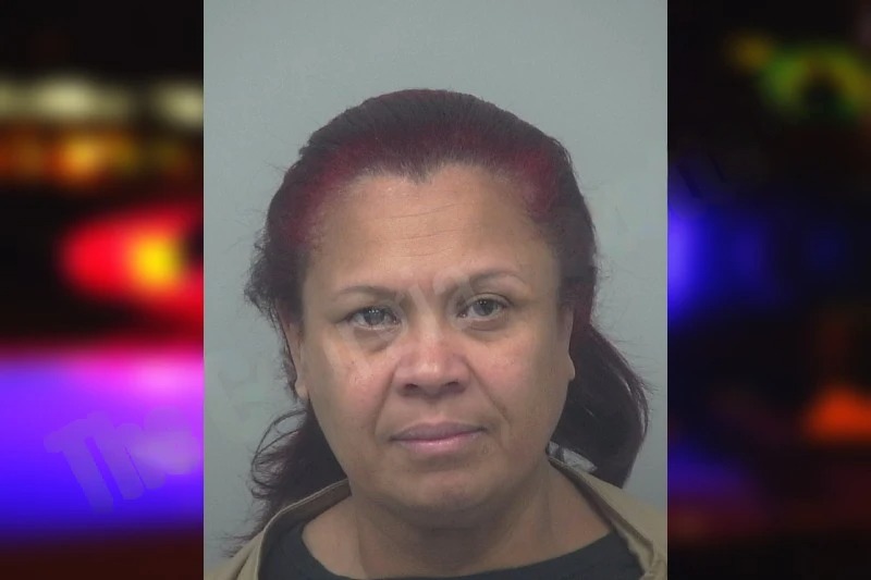 Ines Dupres Mugshots