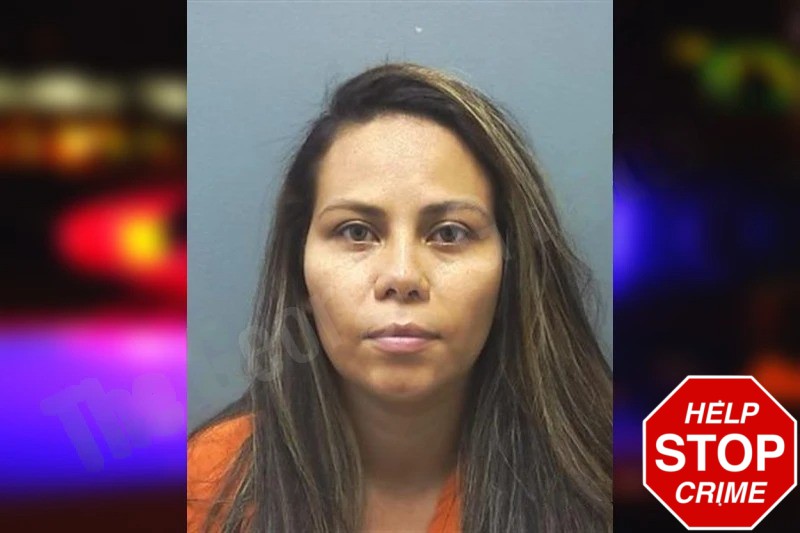 Ingrid De Souza Oliveira Mugshots